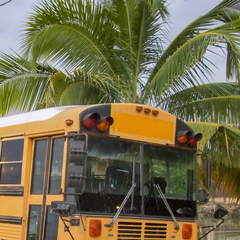 old yellow school bus seen in Belize